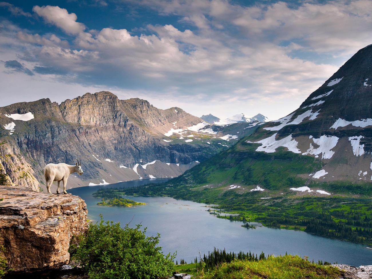 Gracier National Park