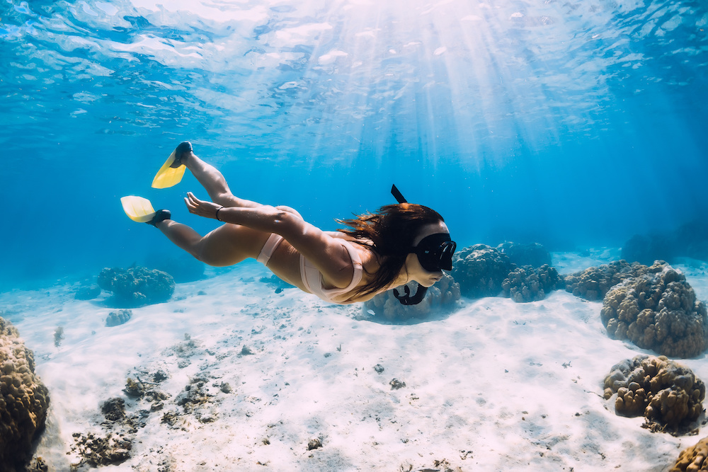 scuba diving siesta key