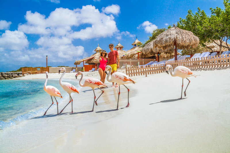 Things to Do in Aruba