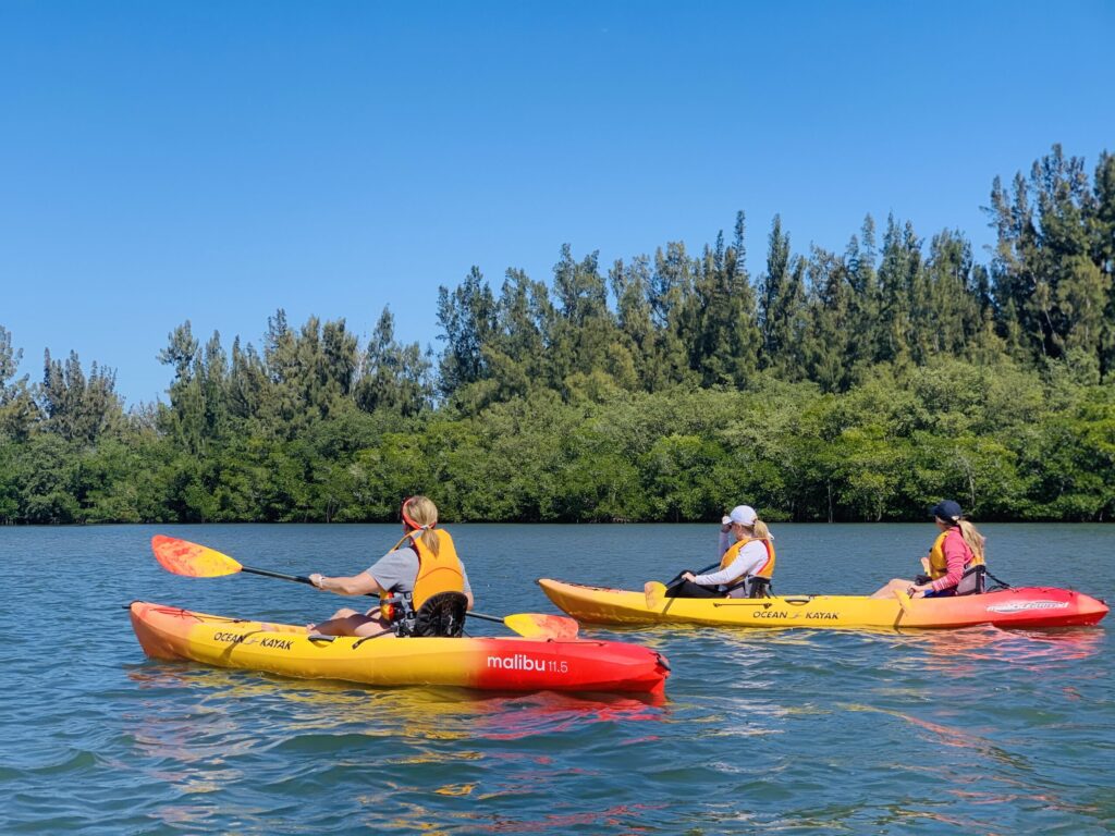 kayaking and paddleboarding