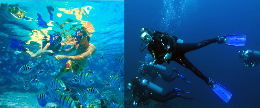 Snorkeling and Scuba Diving-playal-del-carmen